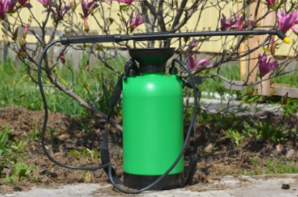 co underground co underground